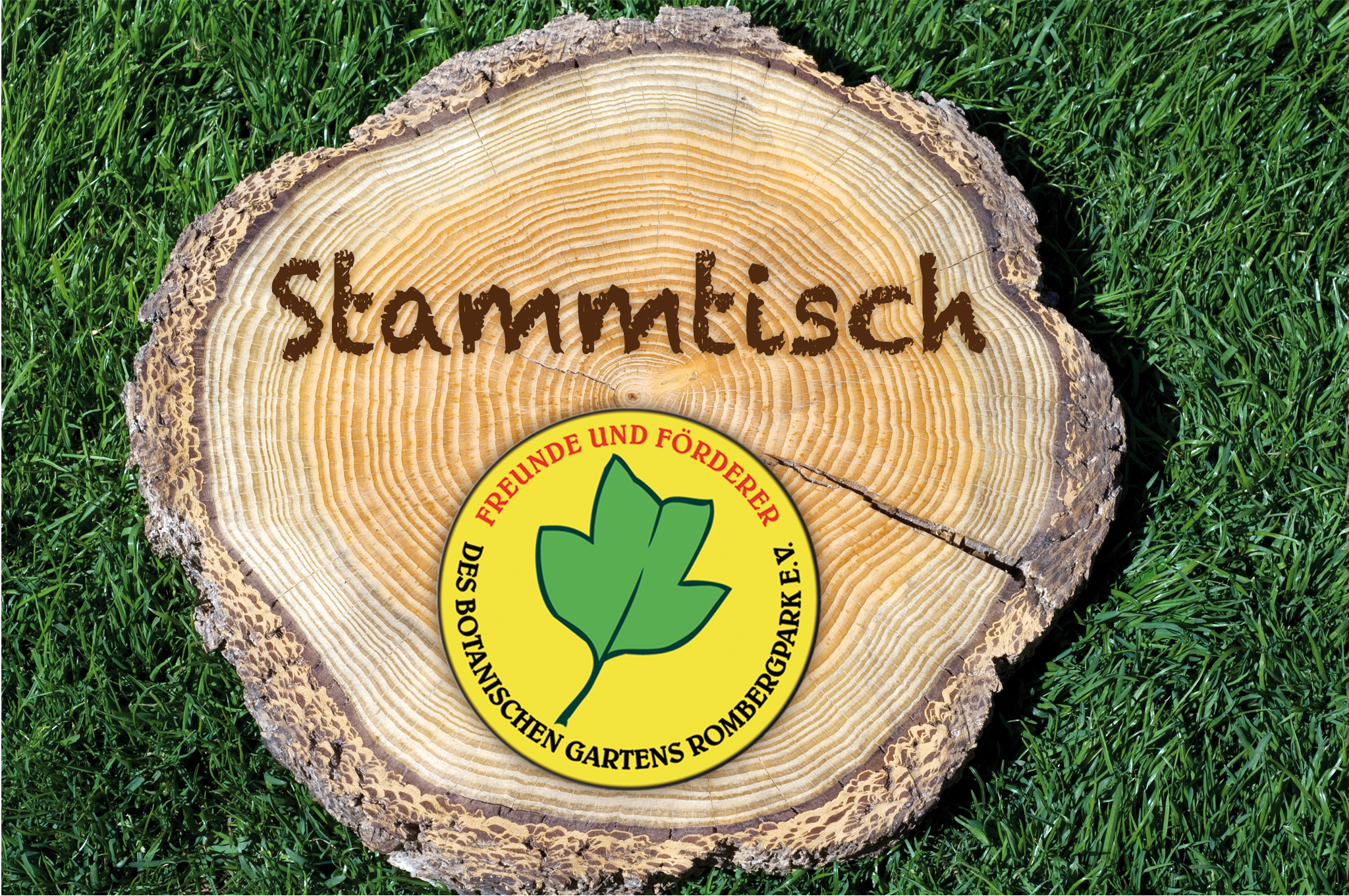 Stammtisch_Baumscheibe