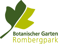 Logo_BGR-2