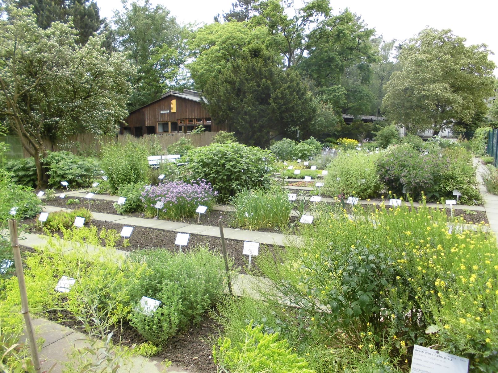 22+ nett Vorrat Botanischer Garten Rombergpark