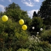 03_DSC01070-gelbe-Ballone-im-Staudenbeet.jpg