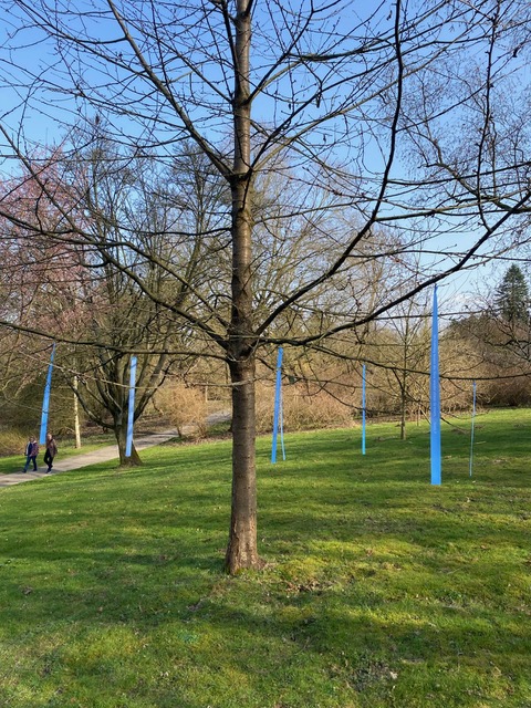 blaue-baender-20260309-164855-643-BGR